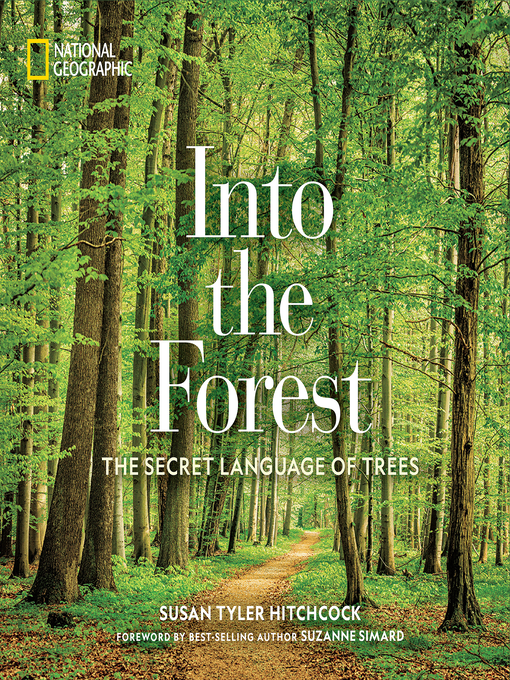 Into the Forest : The Secret Language of Trees