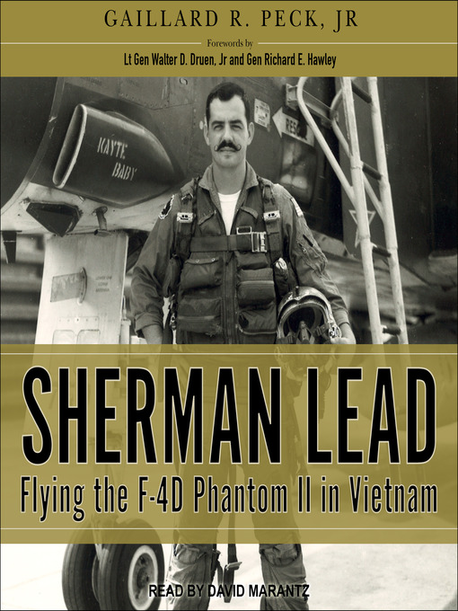 Sherman Lead : Flying the F-4D Phantom II in Vietnam