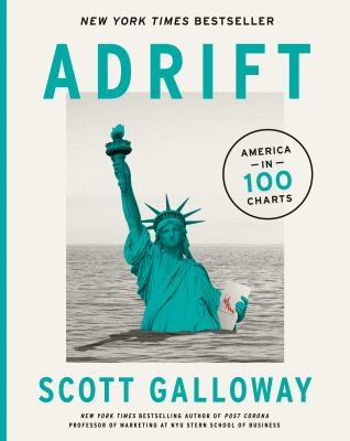 Adrift : America in 100 charts