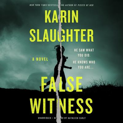 False witness : a novel