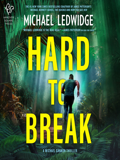 Hard to Break : A Michael Gannon Thriller