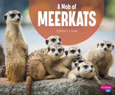 A mob of meerkats