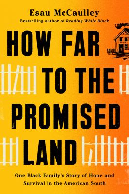 How far to the promised land : one Black family's story of hope and survival in the American South
