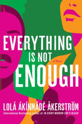Everything is not enough : a novel