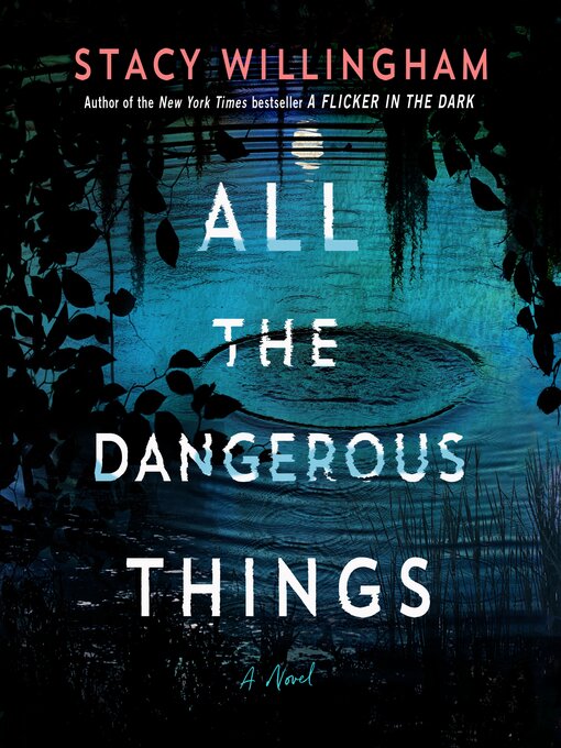 All the Dangerous Things : A Novel