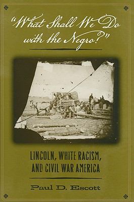 "What shall we do with the Negro?" : Lincoln, white racism, and Civil War America