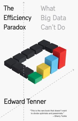 The efficiency paradox : what big data can't do