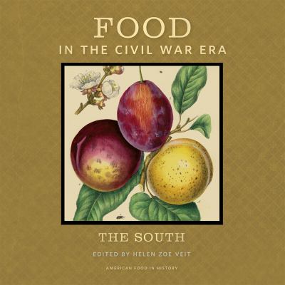 Food in the Civil War era : the South