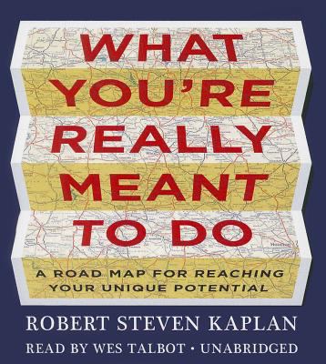 What you're really meant to do : a roadmap for reaching your unique potential