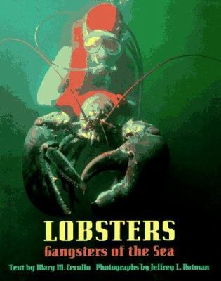 Lobsters : gangsters of the sea
