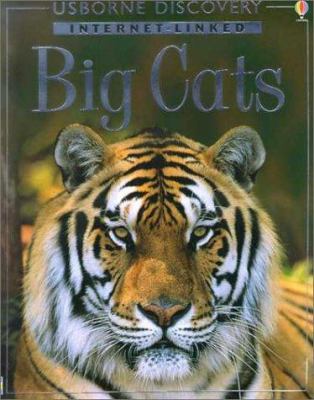 Big cats