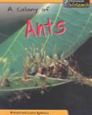 A colony of ants