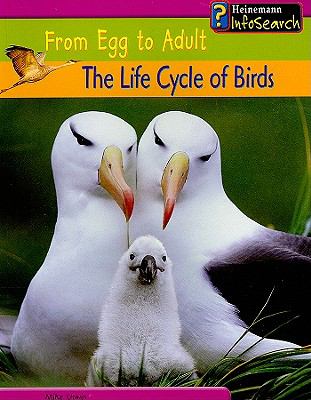 The life cycle of birds