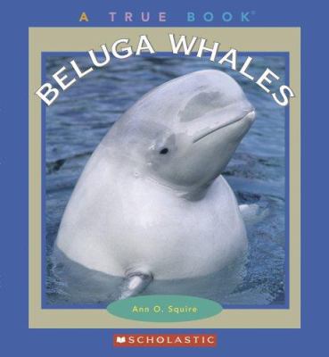 Beluga whales