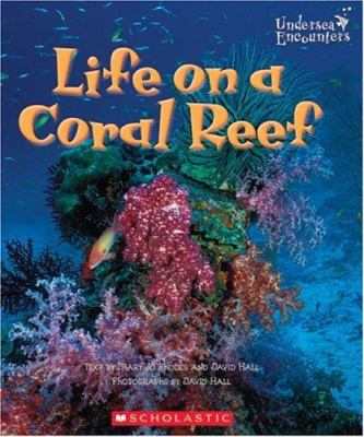 Life on a coral reef