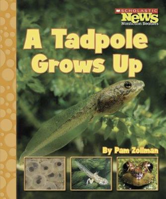 A tadpole grows up