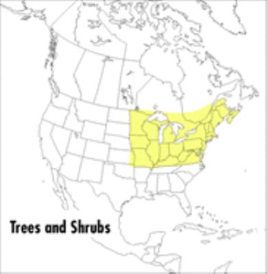 A field guide to trees and shrubs; : field marks of all trees, shrubs, and woody vines that grow wild in the northeastern and north-central United States and in southeastern and south-central Canada,