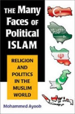 The many faces of political Islam : religion and politics in the Muslim world