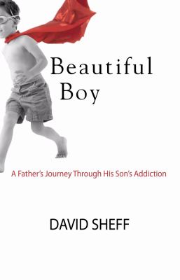 Beautiful boy : a father's journey through his son's addiction