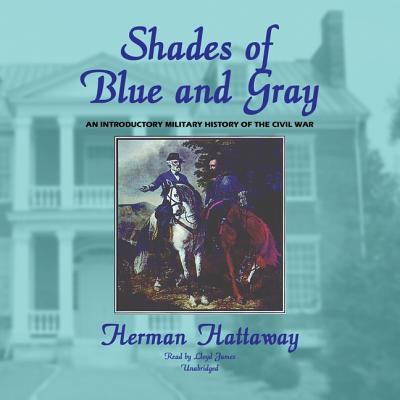 Shades of blue and gray : an introductory military history of the Civil War