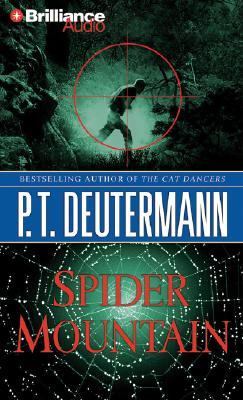 Spider Mountain : a novel