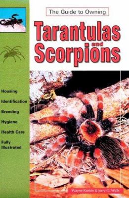 The guide to owning tarantulas