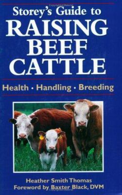 Guide to raising beef cattle