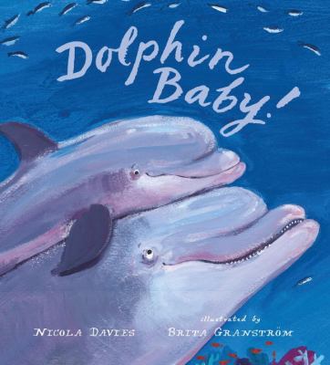 Dolphin baby!