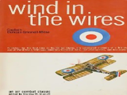 Wind in the wires