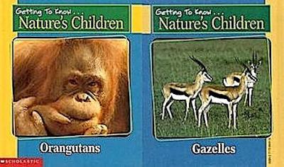 Orangutans, and ; :  Gazelles