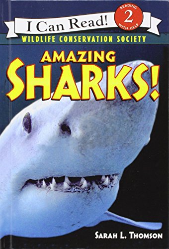 Amazing sharks!