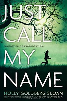 Just call my name : a novel