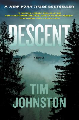 Descent : a novel