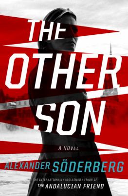 The other son : a novel