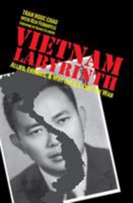 Vietnam labyrinth : allies, enemies, and why the U.S. lost the war