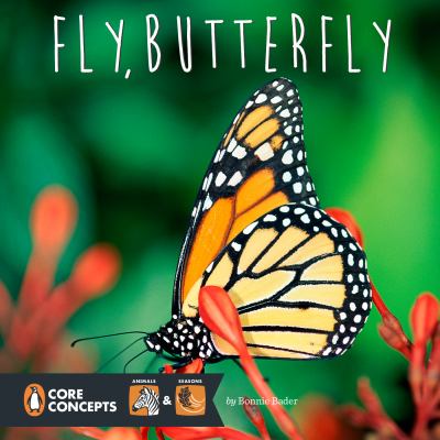 Fly, butterfly