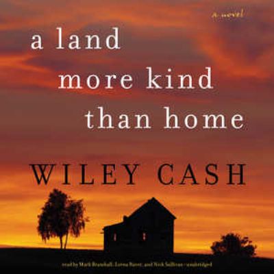 A land more kind than home : a novel