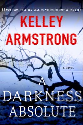 A darkness absolute : a novel