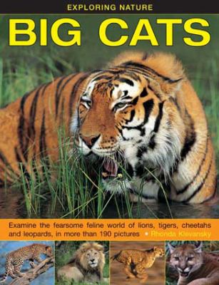 Big cats : examine the fearsome feline world of lions, tigers, cheetahs and leopards, in more than 190 pictures
