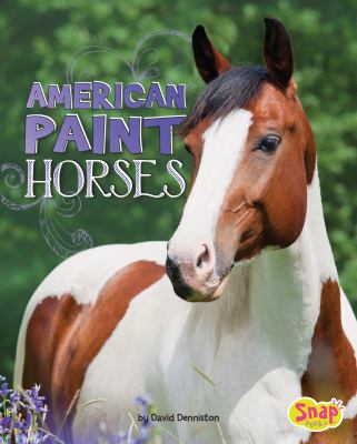 American paint horses