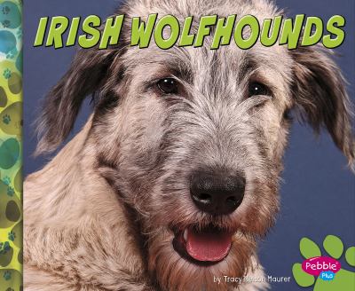 Irish wolfhounds