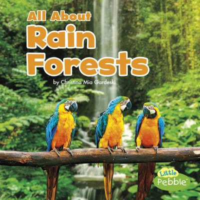 All about rain forests