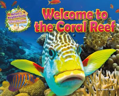 Welcome to the coral reef