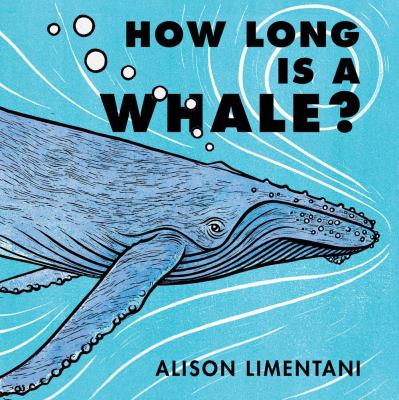 How long is a whale?