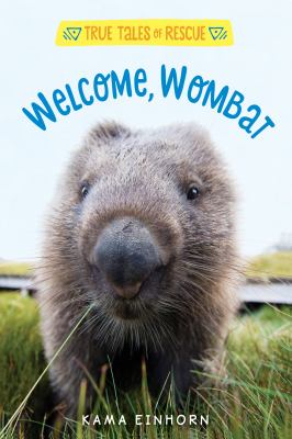 Welcome, wombat