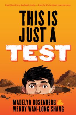 This is just a test : a novel