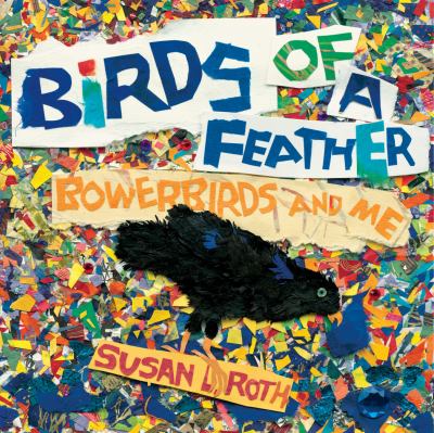 Birds of a feather : bowerbirds and me