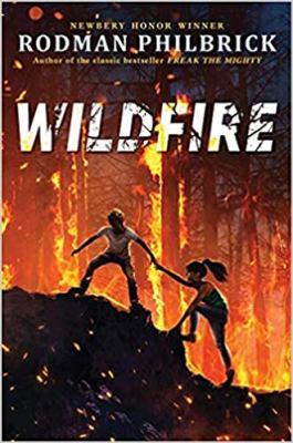 Wildfire : a novel