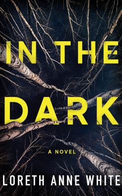 In the dark : a novel