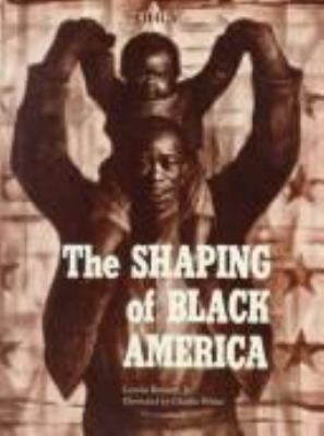 The shaping of Black America